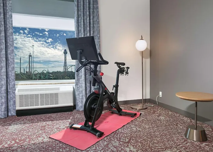 Hilton Garden Inn Dallas Arlington