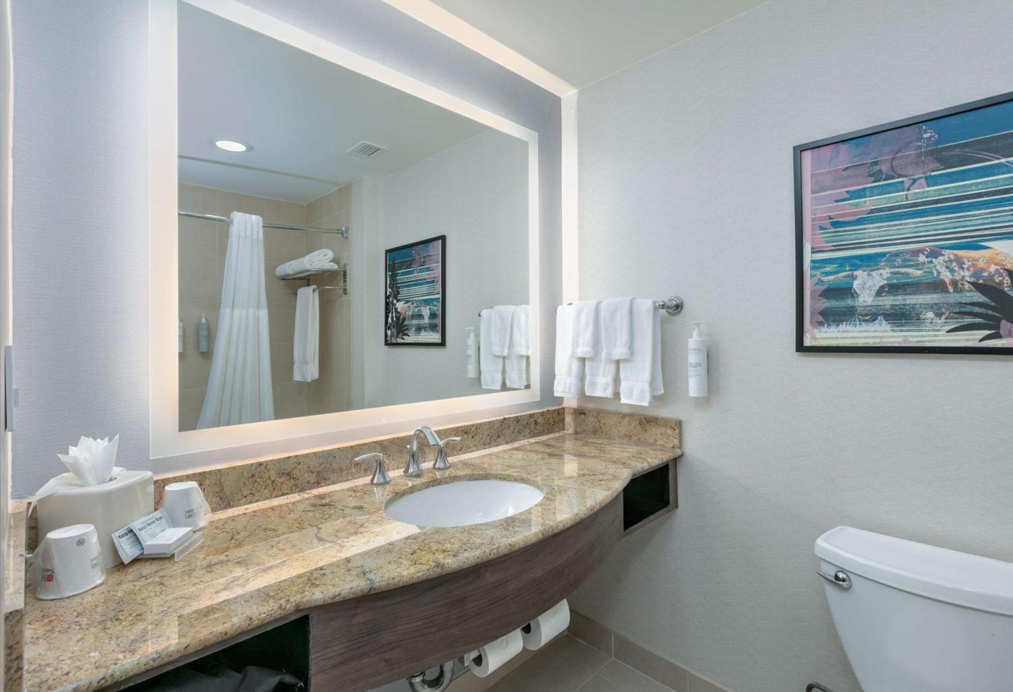 Hotel Hilton Garden Dallas 4*