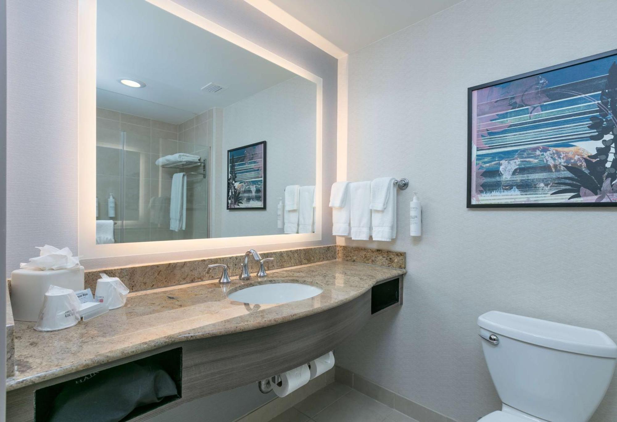 Hilton Garden Dallas Hotel Arlington
